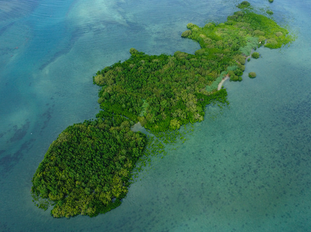 Talisay, Calatagan, Lot For Sale Talisay, Calatagan, Lot For Sale