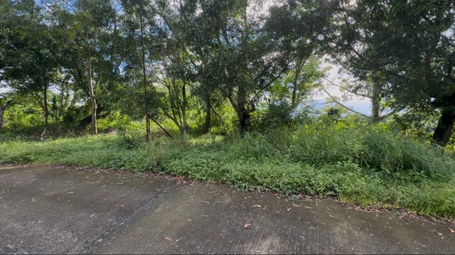 Malanday, San Mateo, Lot For Sale Malanday, San Mateo, Lot For Sale