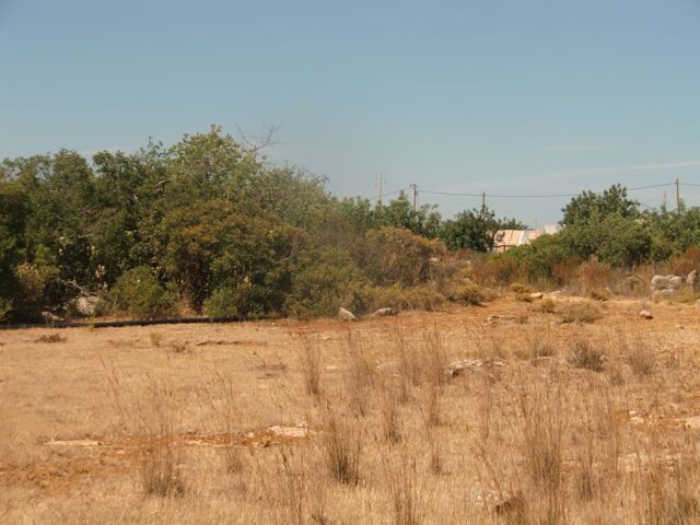 Faro, Rustic Land For