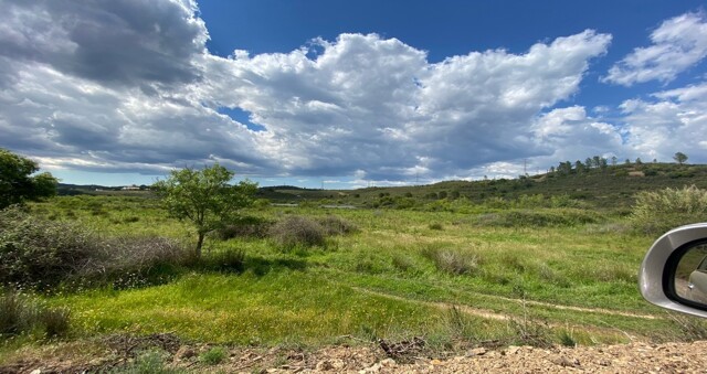 Silves, Land For Sale