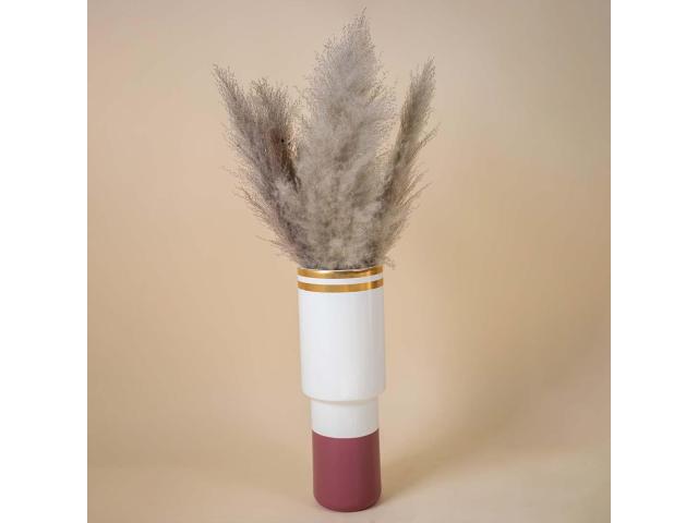 Pampas Grass Decor: Naturally Chic and Effortlessly Stylish