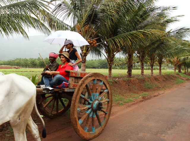 Thekkady, Room For Rent