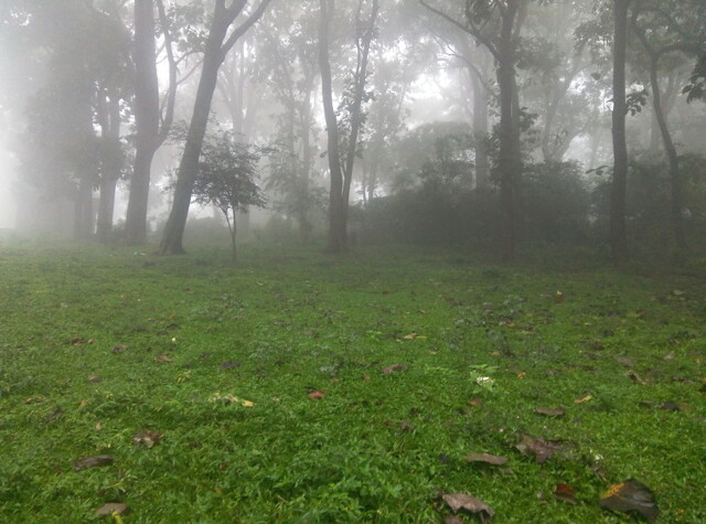 Kumily, Room For Rent