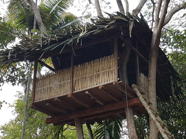 Aluva, Room For Rent