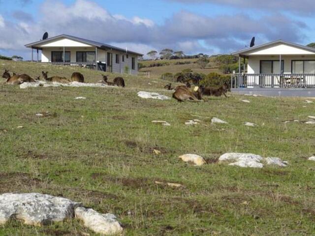 North-coast Road -, Kangaroo Island, Waves And Wildlife