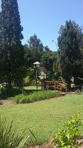 Dundee, Room For Rent