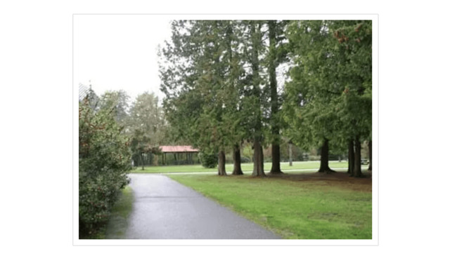 Langley City, Room For Rent Langley City, Room For Rent