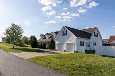 Violet Ln, Louisa, Foreclosure Single-family Home