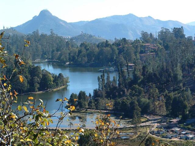 Bear Shola Road, Kodaikanal, Hill Heaven Homestay