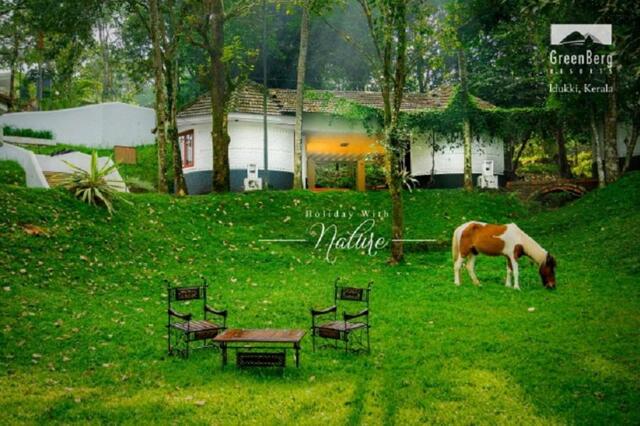 Nadukani,kulamavu, Thodupuzha, Greenberg Holiday Resort