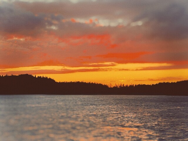 Welshpool, Room For Rent