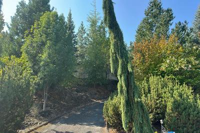 Monterey Dr, Medford, Preforeclosure Single-family Home Monterey Dr, Medford, Preforeclosure Single-family Home