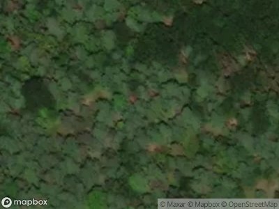Bradt Hollow Rd, Berne, Preforeclosure Single-family Home