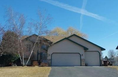 Park Ave Ne, Elk River, Preforeclosure Single-family Home