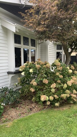 Christchurch, Room For Rent