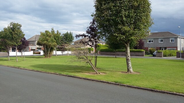 Carrigaline, Room For Rent