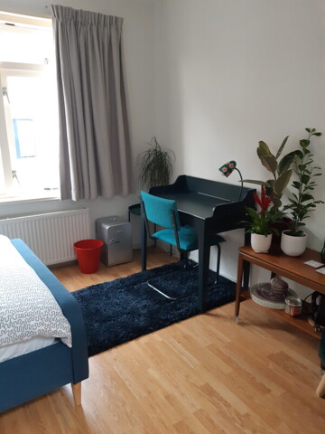 Arnhem, Room For Rent