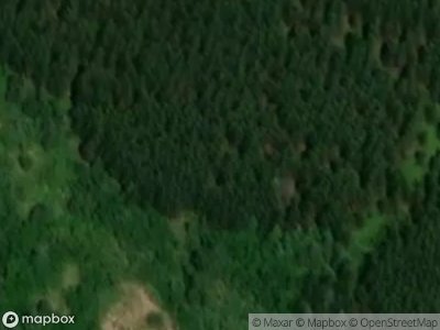 Rainey Rd, Hibbing, Preforeclosure Single-family Home