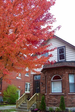 Stratford, Room For Rent