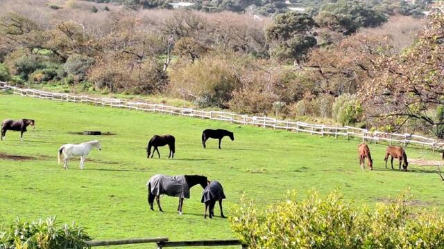 Chapmans Peak, Noordhoek,  Gorgeous Flatlet