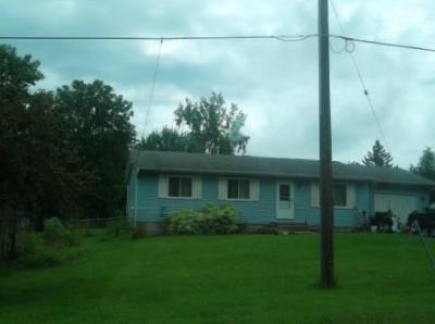 Newlander Ave, Lindstrom, Foreclosure Single-family Home