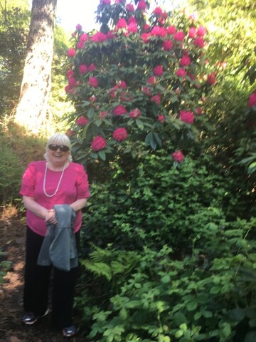 Dunshaughlin, Room For Rent