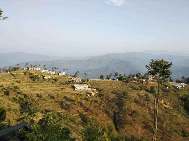 Kasar Devi,room For Rent