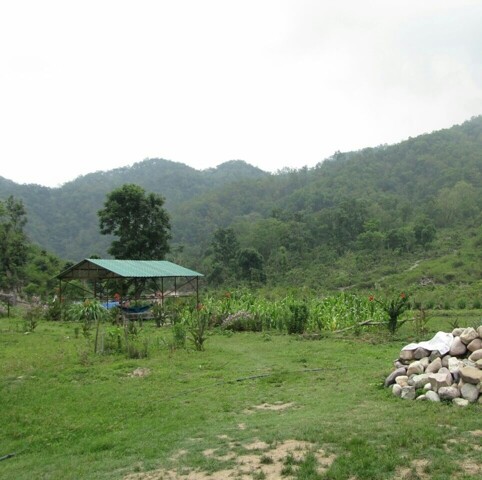 Uttrakhand, Room For Rent