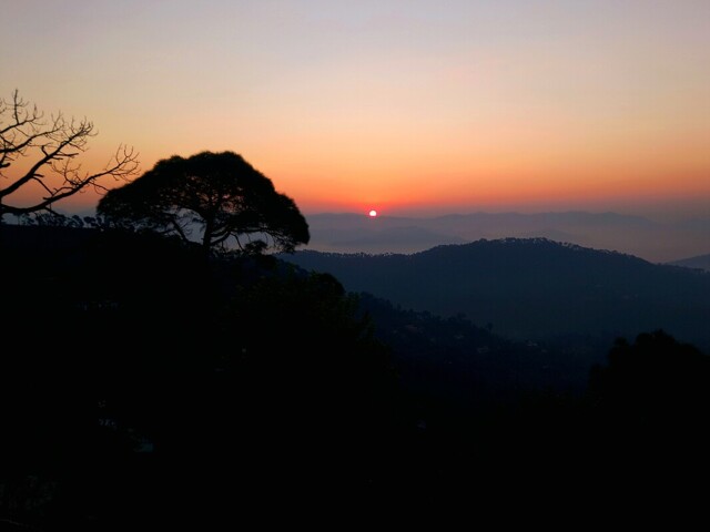 Kasar Devi, Room For Rent