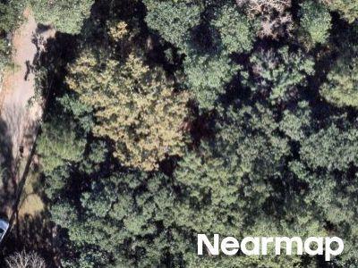 Bay Tree Rd, Ocean Springs, Preforeclosure Property In