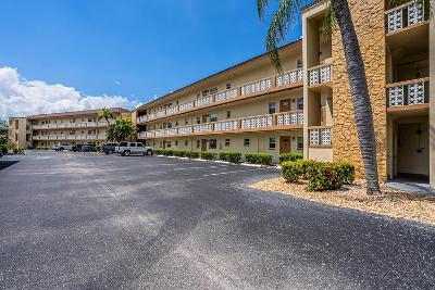 Tropic Ter, North Fort Myers, Foreclosure Condo In