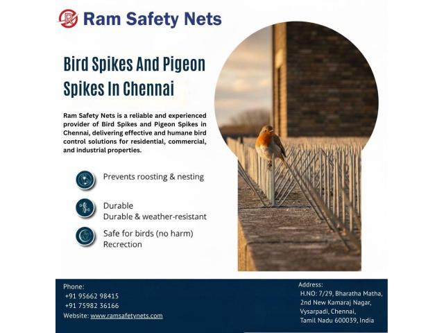 Bird Spikes and Pigeon Spikes in Chennai – Ram Safety Nets