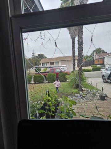 Sacramento, Room For Rent Sacramento, Room For Rent