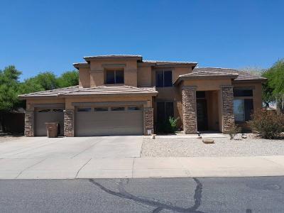 S Copper Ct, Goodyear, Preforeclosure Single-family Home