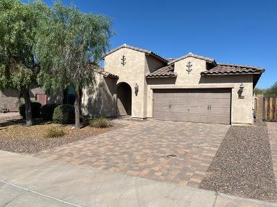 N Th Ln, Goodyear, Foreclosure Single-family Home