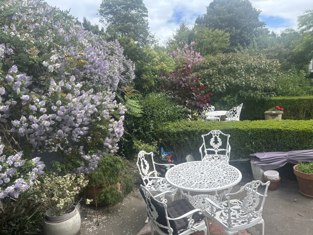 Dunlaoghaire, Room For Rent