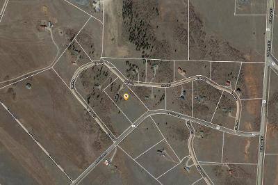 S Foxtail Ln, Fairplay, Preforeclosure Single-family Home S Foxtail Ln, Fairplay, Preforeclosure Single-family Home