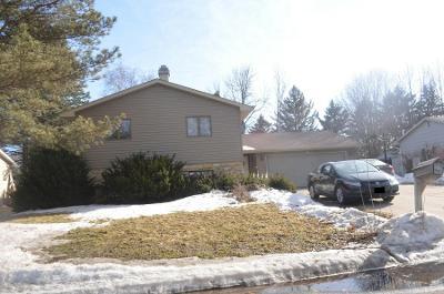 Wellington Cres, Faribault, Preforeclosure Single-family Home