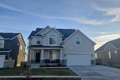 Summit View Way, Lehi, Preforeclosure Single-family Home