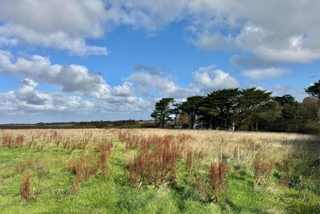 Tregolds Building Plot, St Merryn, Plot For Sale