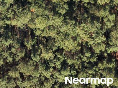 Lizana School Rd, Gulfport, Foreclosure Single-family Home