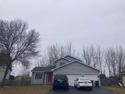Cottonwood St Sw, Isanti, Preforeclosure Single-family Home