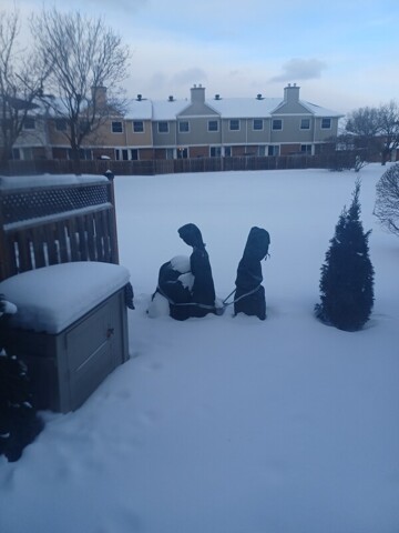 Nepean, Room For Rent