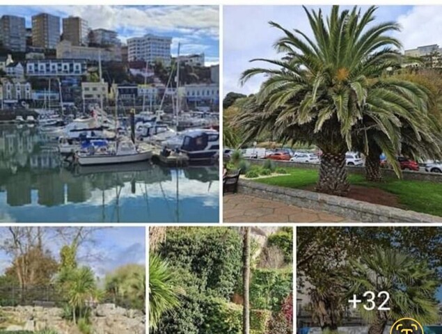 Torquay,room For Rent