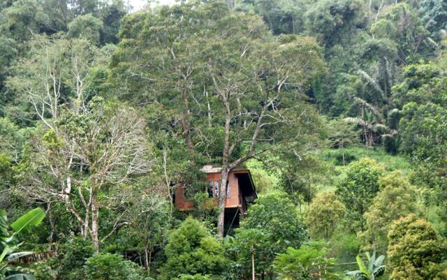 Jl.tomohon-rurukan, Kel. Paslaten I, Lingkungan,kec. Tomohon Timur, Tomohon, North Sulawesi, Manado,