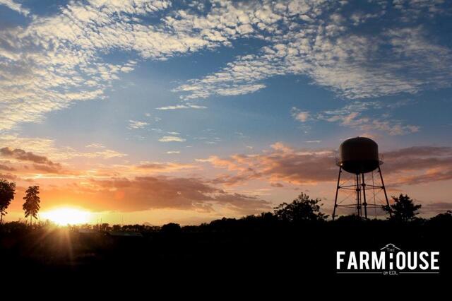 Edl Drive, Sitio Nueve (before Brgy. Manga Arch) Barangay Dolores Capas Tarlac, Capas, Estancia De L