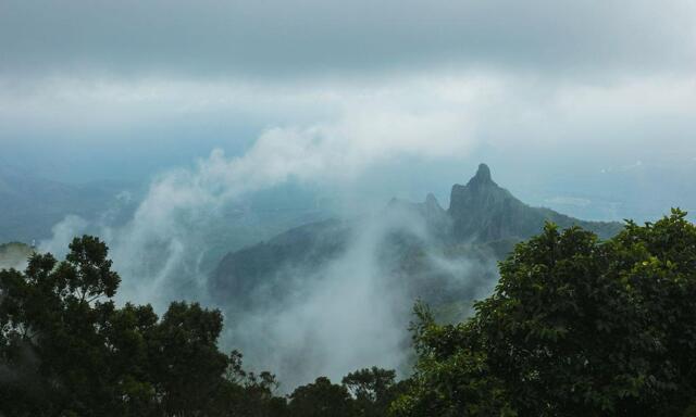 D No:  /, Ooty Highway Horasholai, Kotagiri Village The Nilgiris, Ooty, Teanest Nightingale By