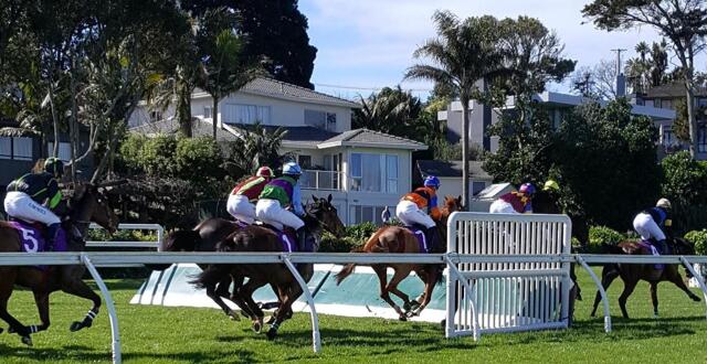 Ladies Mile, Remuera, Auckland, Racecourse Deluxe, Apartment/flat