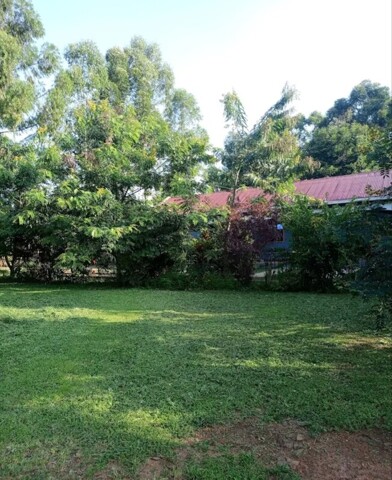 Masindi, Room For Rent