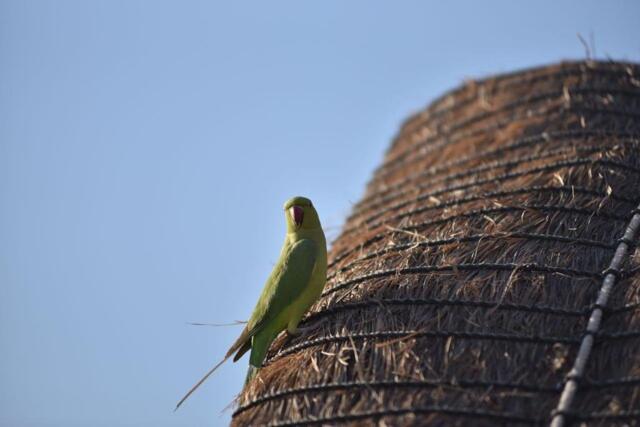 Opp Sanjot Nagar Bhuj Khavda Road Rudramata Bhuj Kutch, Bhuj, Hotel Rudra Hills